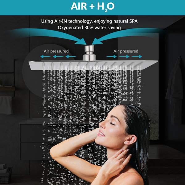 Landolt Rain Adjustable Shower Head Wayfair